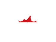 Pizza Pellini